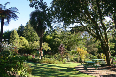 Garden at the end of Summer