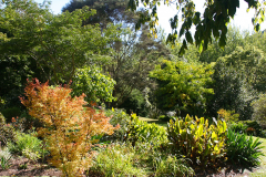 Garden in late Summer